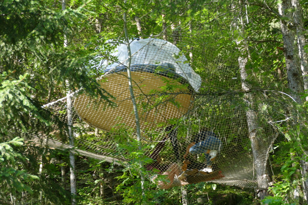 Nuit en bulle et dormir en forêt dans Alpes de Haute Provence