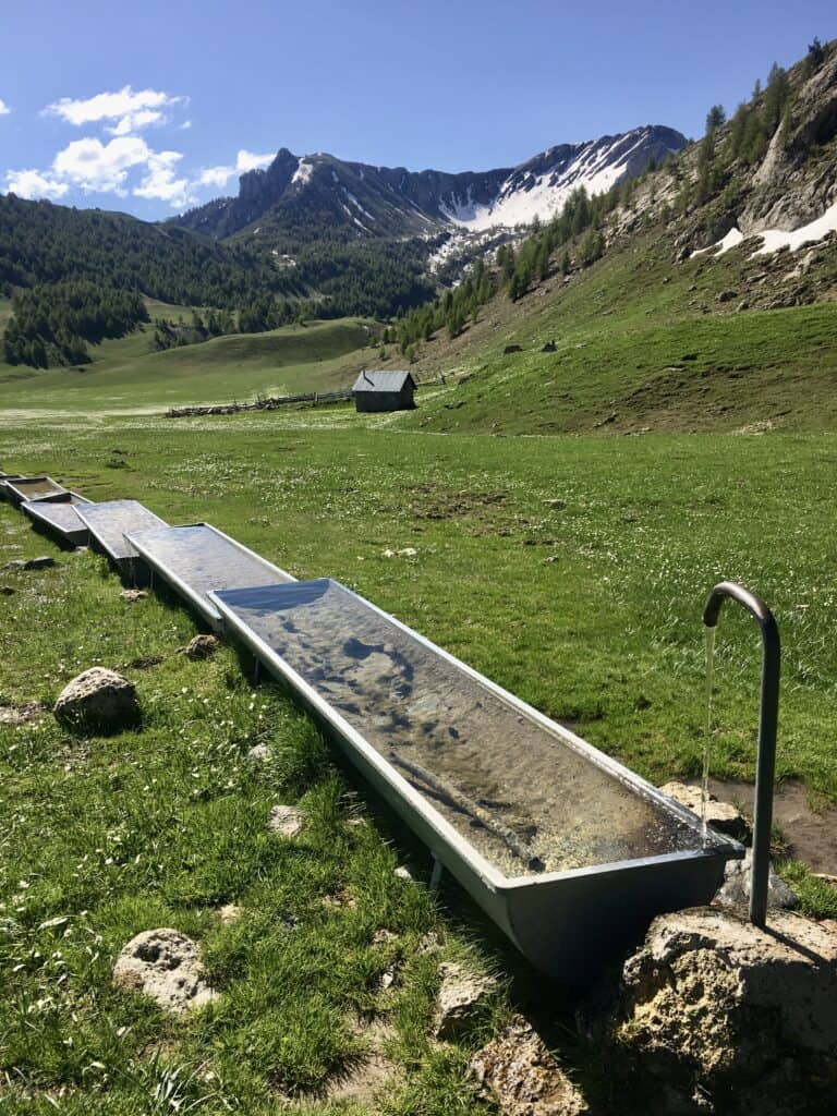 Randonné à Barcelonnette