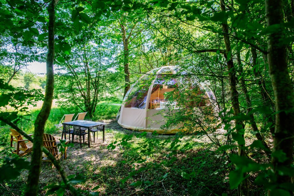 dormir dans la forêt grâce aux logements bulles